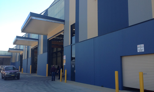 IMAGE1